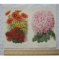 1940 Amateur Gardening illustration - Plants fr...