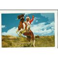 USA Arizona CHIEF DEERFOOT Postcard by Petley (...