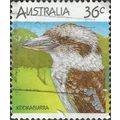 AUSTRALIA, BIRDS, Kookaburra, Dacelo novaeguine...