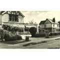 Sussex HASTINGS The Ridge Postcard (Valentine M...