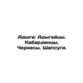 Adygees: Adygeites. Kabardinets. Circassians. Shapsugi.