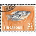 SINGAPORE, FISH, Three-spotted Gourami, orange ...