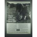 1985 MoorMan's 2nd Century Mintrate Blocks Ad