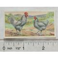 1916 Ogdens Poultry 2nd Series, No. 28 Coucou o...