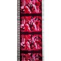 ALICE COOPER. Pk MTP - D087i . 1 STRIP OF 5 - 3...
