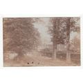 Grove Cottage Hayes Postcard 1907 RP Kent
