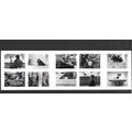 GB Stamps 2001 Cats & Dogs Sheetlet sg2187a MNH
