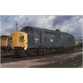 Railway Postcard BR Class 37 37035 CREWE 1979 e...