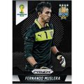 2014 Panini Prizm World Cup - #189 - Fernando M...