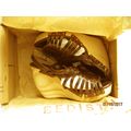 New Bed Stu Womens Esther Brown Leather Wedge H...