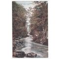 Fairy Glen Bettws or Betws-Y-Coed Postcard Cele...