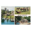 multiview, NEW FOREST.. used postcard 1965 post...
