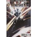 Punisher (Vol 8) # 223 NM MODERN AGE COMICS