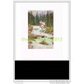 THE FALLS, ILLECILLEWAET RIVER, BC, Book Illust...