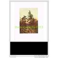 THE ROAD NEAR VICTORIA, BRITISH COLUMBIA, Book ...
