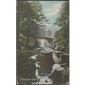 Jesmond Dene, Northumberland, 1912 - Shurey's P...