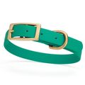 Dog Pet Collar with Brass Hardware Size S W 5/8...