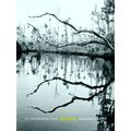 Wormsloe Foundation Nature Books-An Unflinching Look