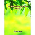 Wanderer's Guide to Wisdom