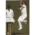 Ian Botham English Worcester Cricketer Cricket ...