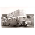 Black & White Photograph of Manchester Corporat...
