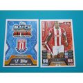 266. Steven N`Zonzi - Stoke City - Match Attax ...
