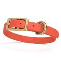 Dog Pet Collar with Brass Hardware Size XS W 1/...