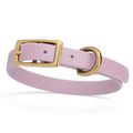Dog Pet Collar with Brass Hardware Size XS W 1/...