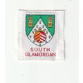 Scout Badge Wales - South Glamorgan - Ribbon (B...