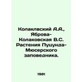 Kolaklvsky A.A., Yabrova-Kolakovskaya V.S. Plan...