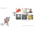 Great Britain SG 3626/31 FDC: Centenary of the ...