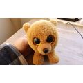 Beenie baby bear