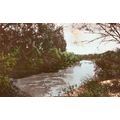 Vaal River Parys New Plymouth Zealand Antique 3...