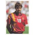 Julio Salinas Spain Spanish International Footb...