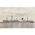 MS Wonosobo Rotterdamsche Lloyd Dutch Ship Rare...
