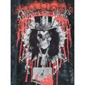 ALICE COOPER - 2009 Bloody Theatre of Death Sof...
