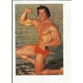ARNOLD SCHWARZENEGGER Postcard (PC13)