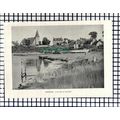 (8181) Piddinghoe Sussex - 1950 Cutting