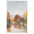 Kashmir Srinagar India F G Parbury Oilette Wide-Wide-World Art Postcard