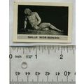 1936 Scerries Cigarette card No. 9 Gallo Moribondo