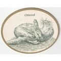 BEER MAT - OTTER BREWERY - OTTERED - (Cat No 05...