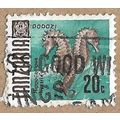 Spiny Seahorse 12388
