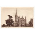 Salisbury Cathedral Wiltshire Postcard 44402