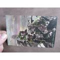 Early Frith Postcard - Castle Rock Sunset, Lynt...