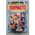 wwe tna wwf ljn classic superstars petey willia...