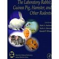 Laboratory Rabbit, Guinea Pig, Hamster, And Other Rodents