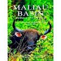 Maliau Basin