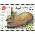 SOMALIA, Rabbit brown, brown 1999, 100ShSo