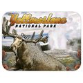 Yellowstone National Park with Moose and Old Fa...