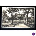 Sussex BRIGHTON Steine Gardens Postcard by Vale...
